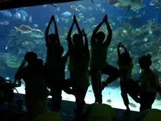Aquaria KLCC