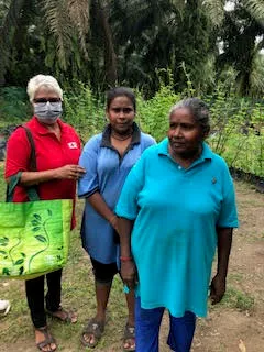 Covid-19 aid relief, 2020